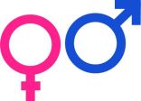colored gender symbol