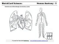 science worksheet