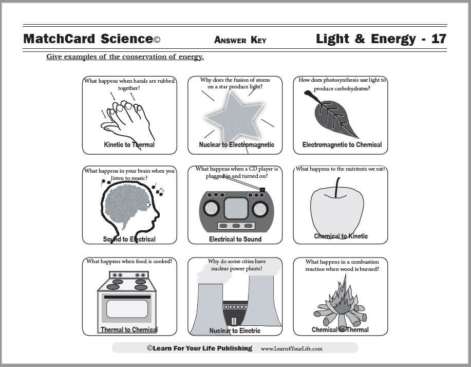 Conservation of Energy  Worksheet