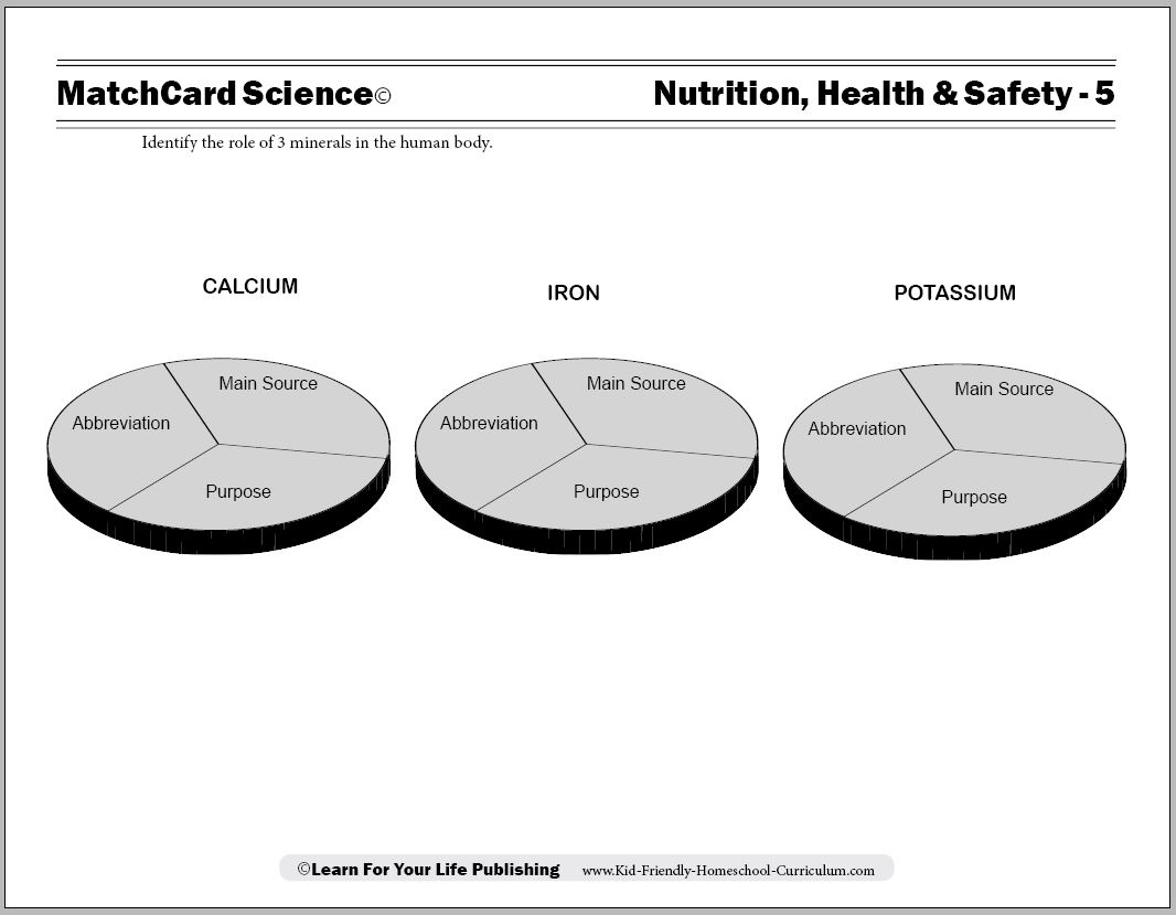 Nutrition Mineral Worksheet
