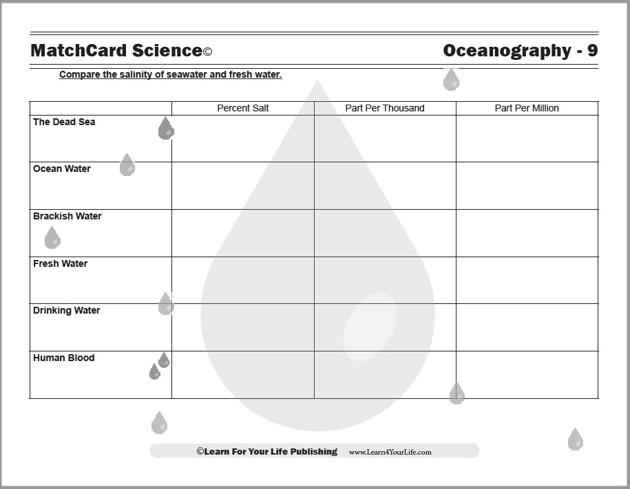 Ocean Floor Worksheet