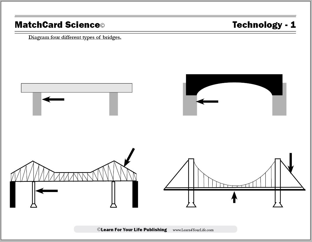 Types of Bridges Worksheet