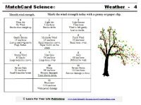 Beaufort Scale Worksheet