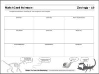 Animal Phylum Worksheet