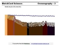 ocean worksheet