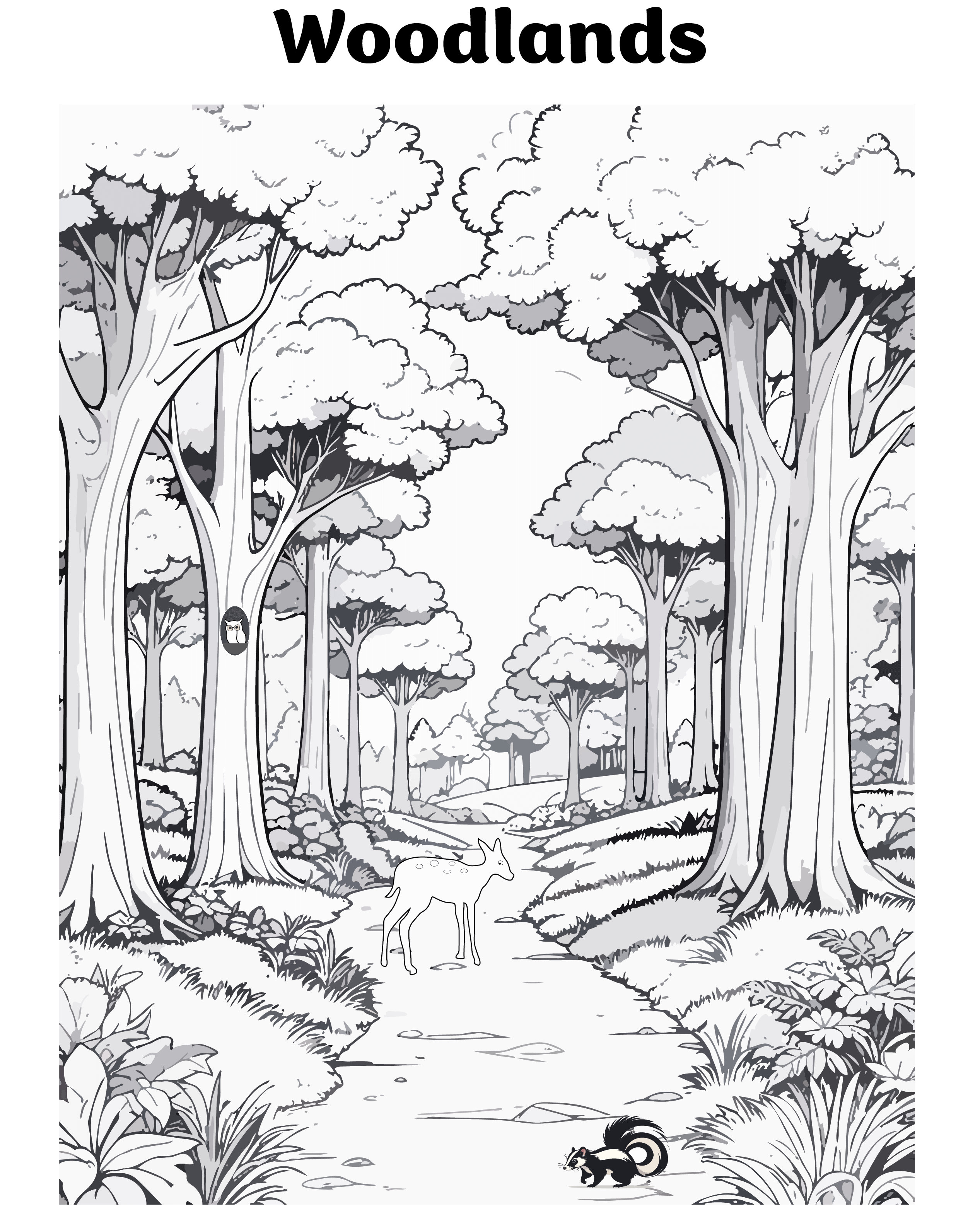 ecosystem flashcards