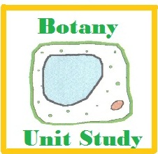 Botany Unit Study Cover