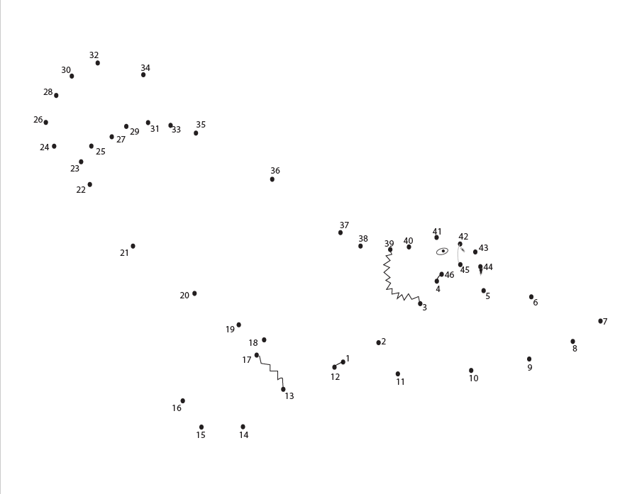 bald eagle dot to dot picture