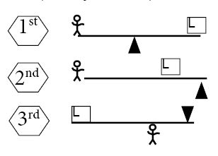 3 Classes of Levers 