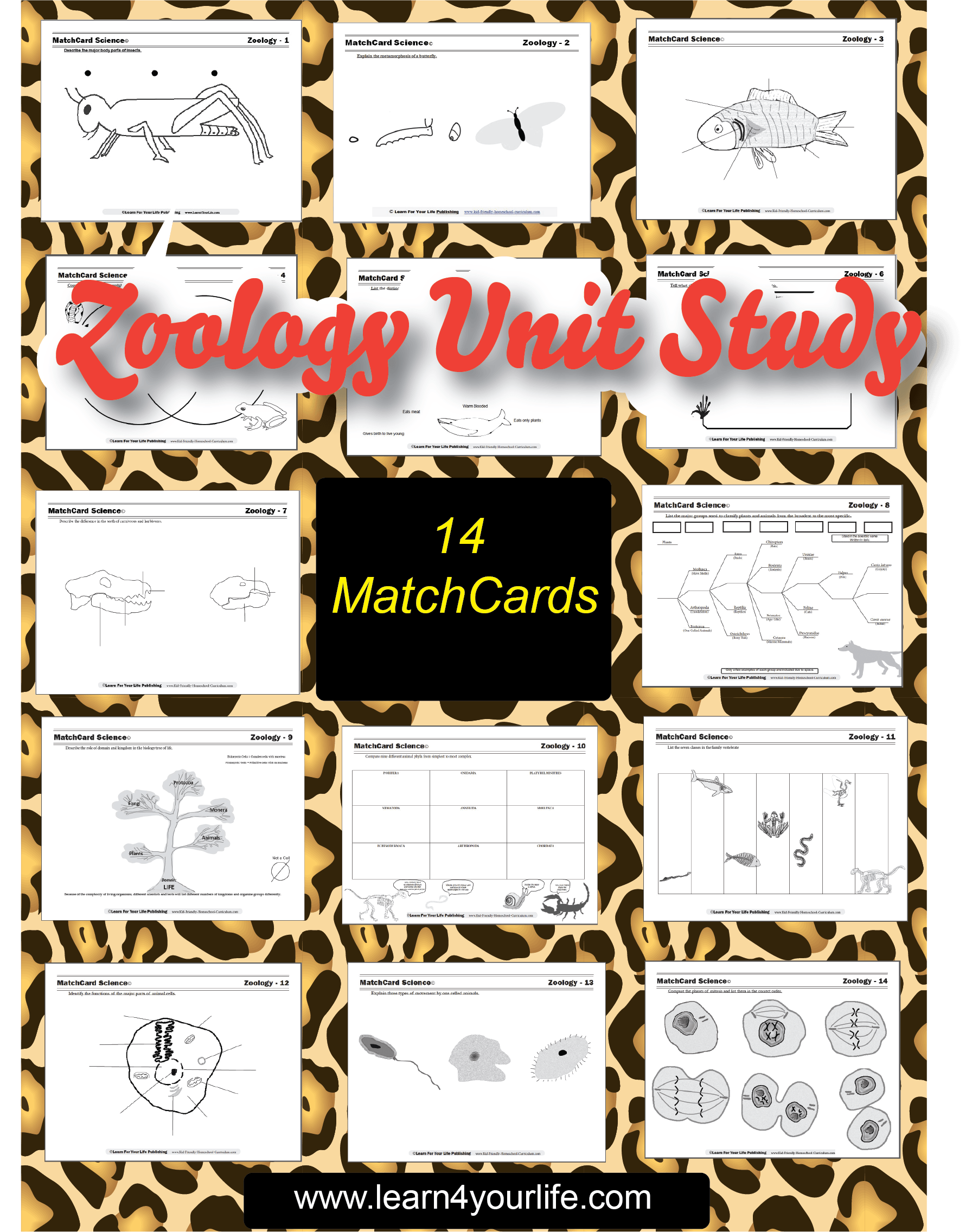 Zoology Unit Study with Animal Skin Background
