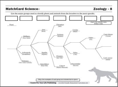 science worksheet