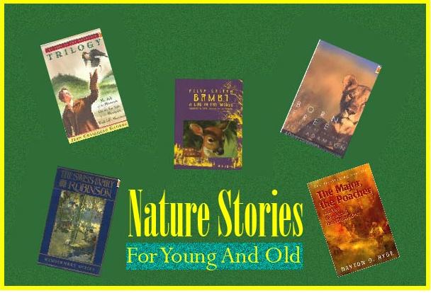 poster of nature stories
