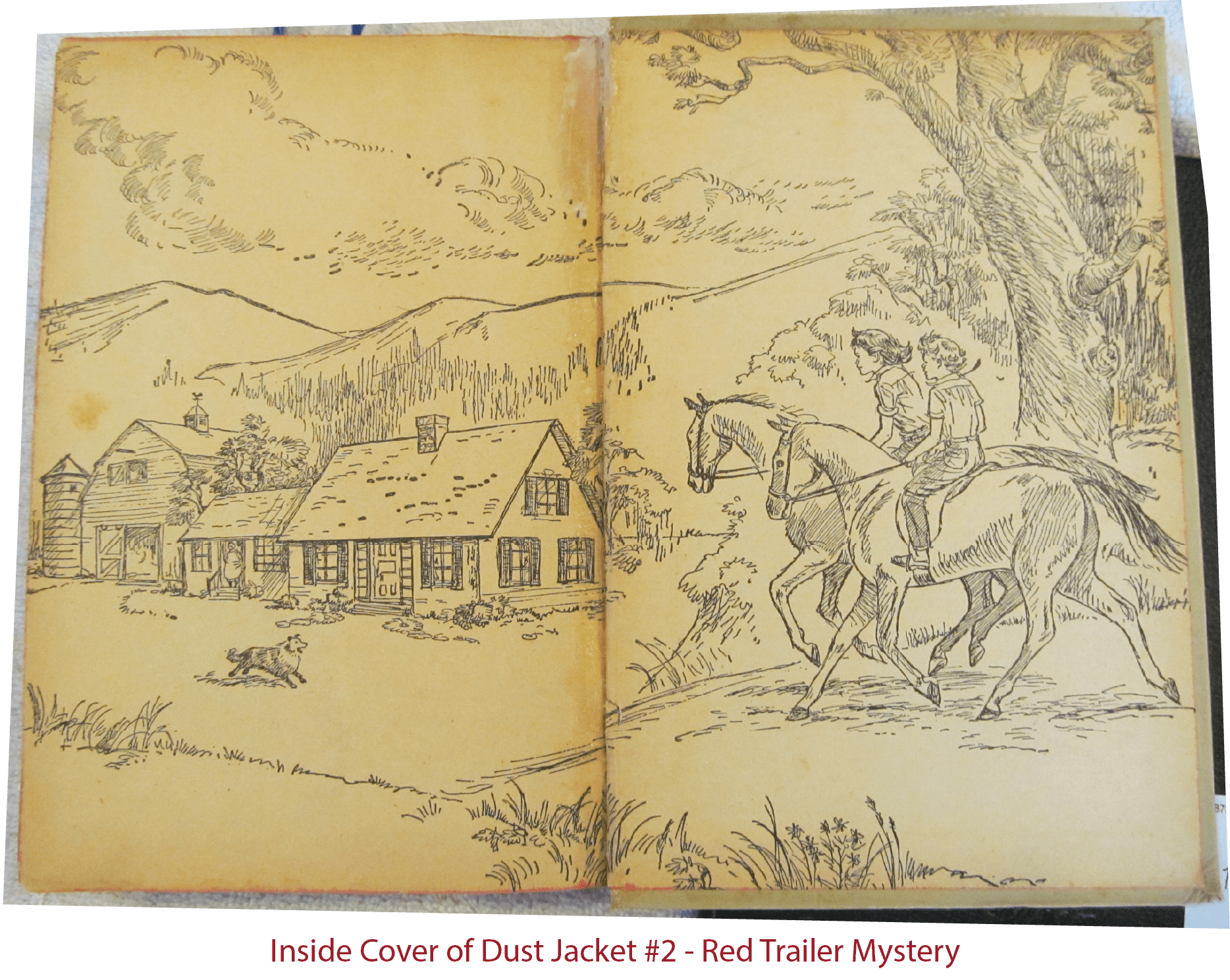 Trixie Belden Dust Jacket Inside #2