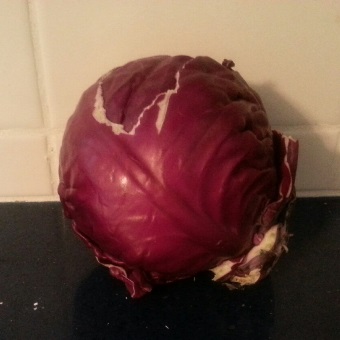 Red Cabbage for Acid Base Experiment