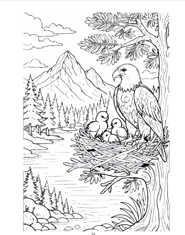 Bald Eagle Mother and Eaglets Nest Coloring Page