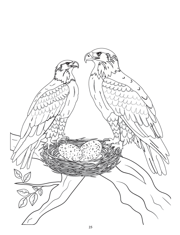 Pair of Bald Eagles Coloring Page