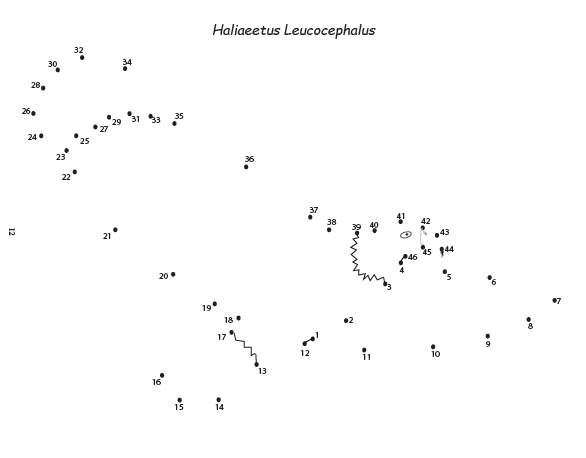 bald eagle dot to dot picture