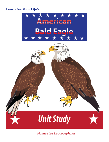 Bald Eagle Lesson Plans and Unit Study