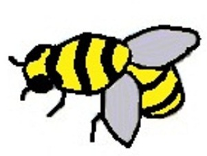 bee