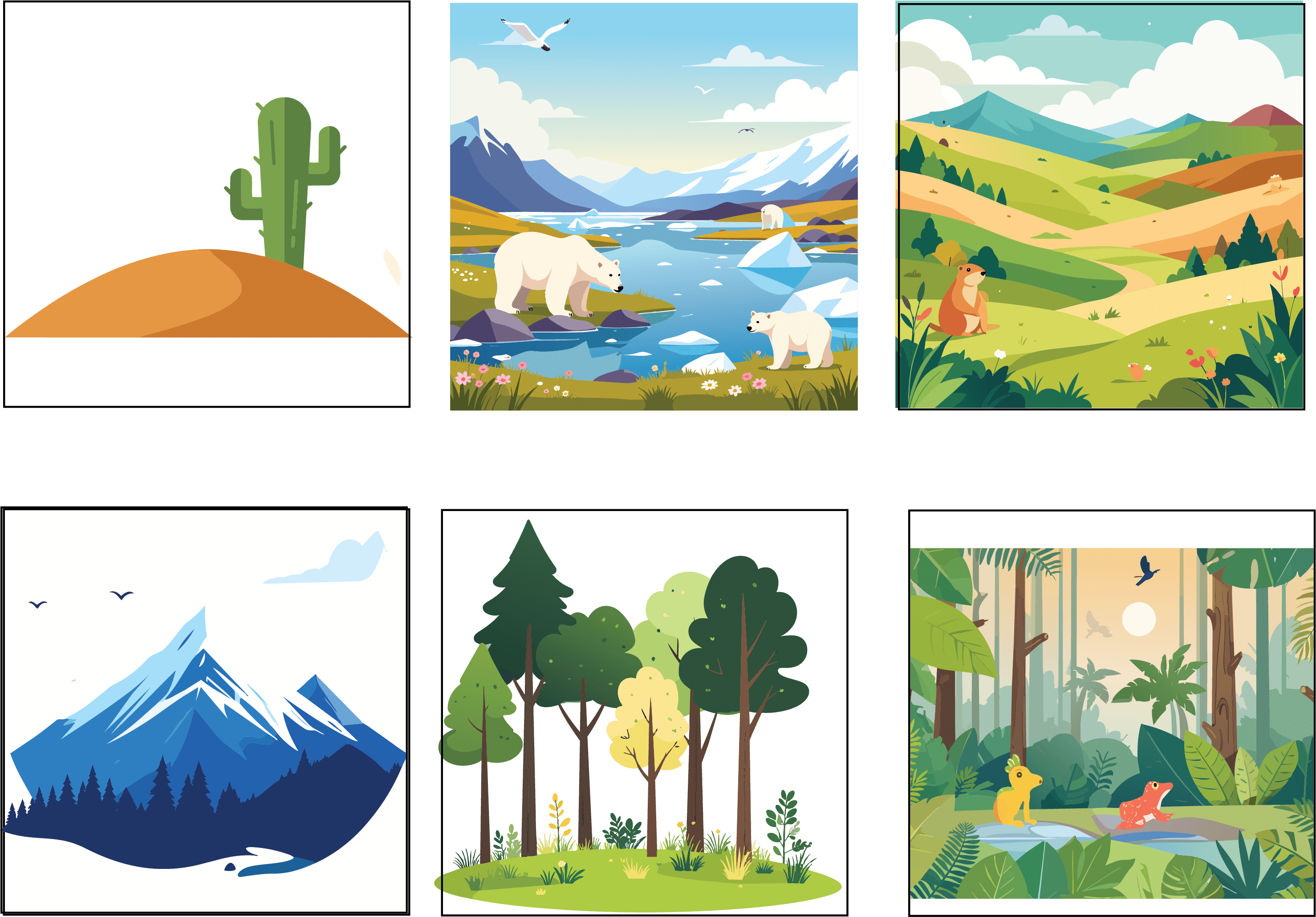 Colored Flashcards - Six Ecosystems B