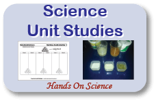 Literature Unit Study Box