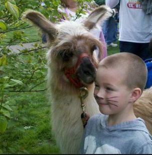 boy and llama