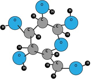carbohydrate molecule diagram