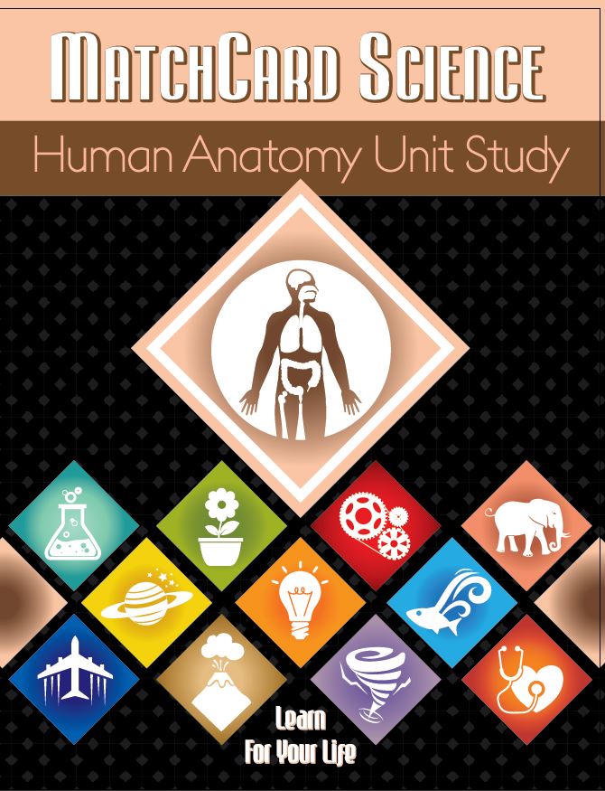 Human Anatomy Unit Study Cover