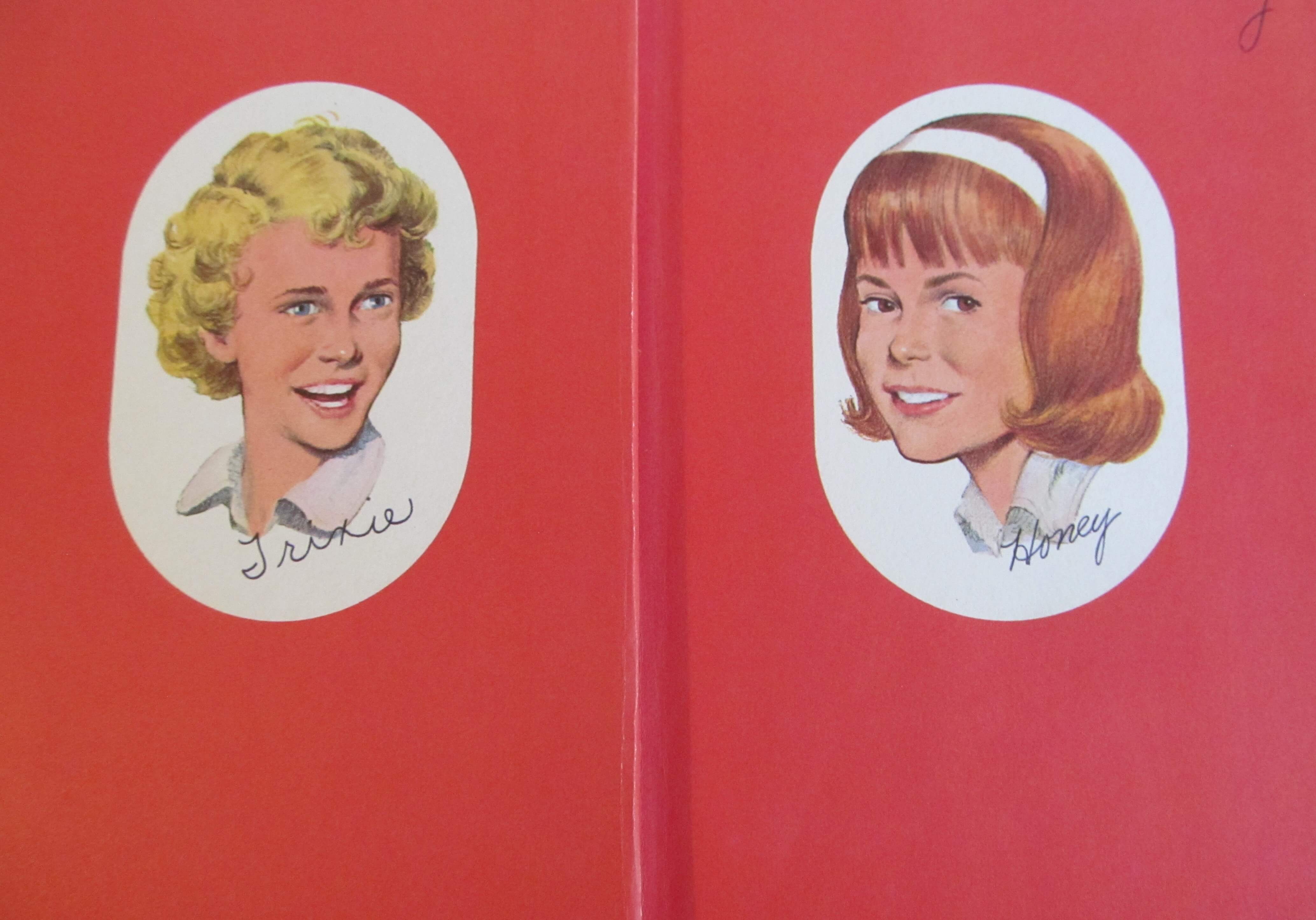 Trixie Belden Deluxe Inside Cover