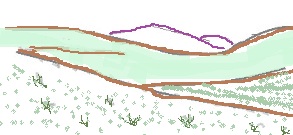 grassland diagram