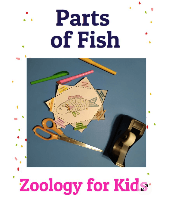 4 Levels of Writing poster