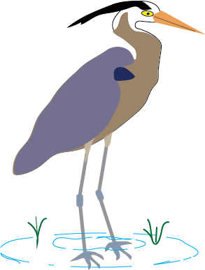 greatblueheron.png