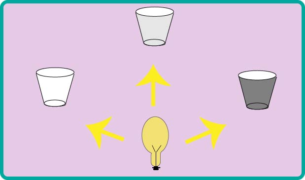 how do we see colors of the opaque and transparent objects