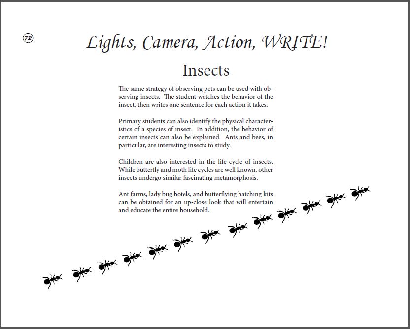 insect instructors page