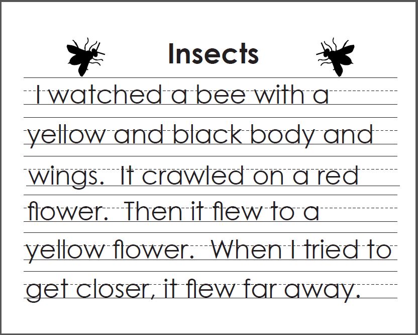 insect page