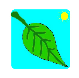 leaf diagram
