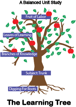 Learning Tree Model