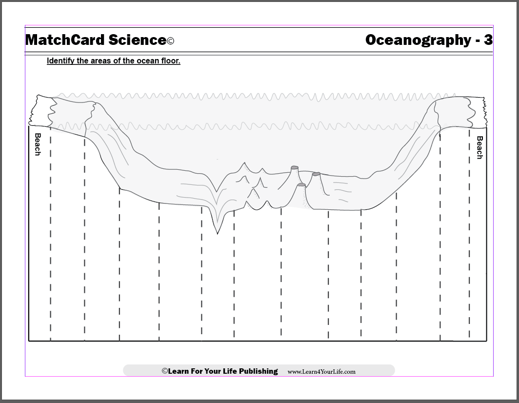 Ocean Floor Worksheet