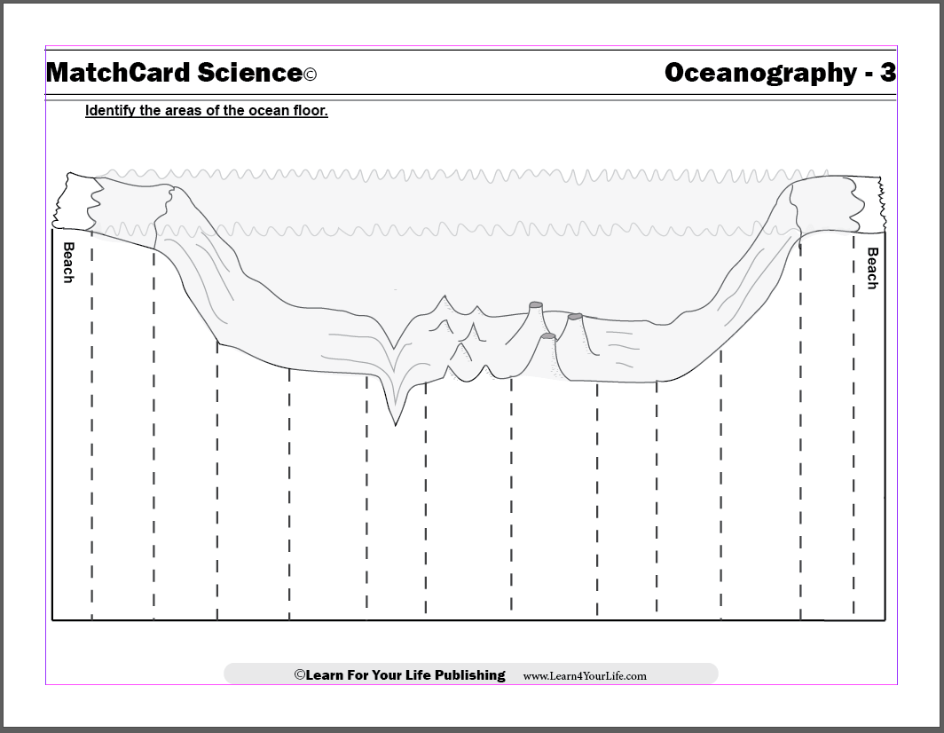 Diagram Of The Ocean Floor