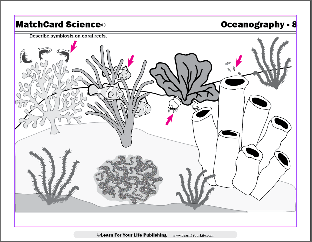 coral reef worksheet