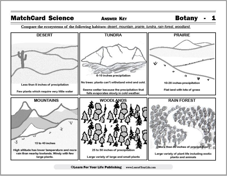 science worksheet