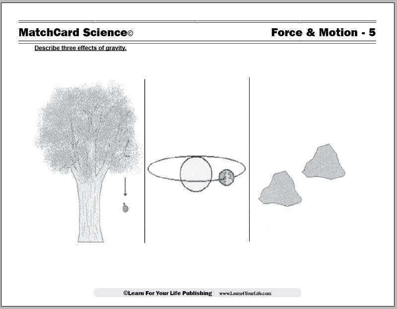 Gravity Worksheet