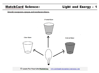 how do we see colors of the opaque and transparent objects