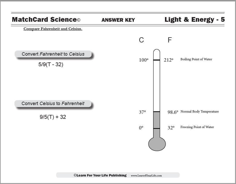 Light Worksheet