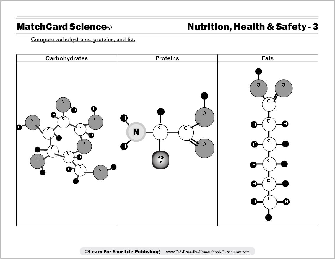 carbohydrate worksheet