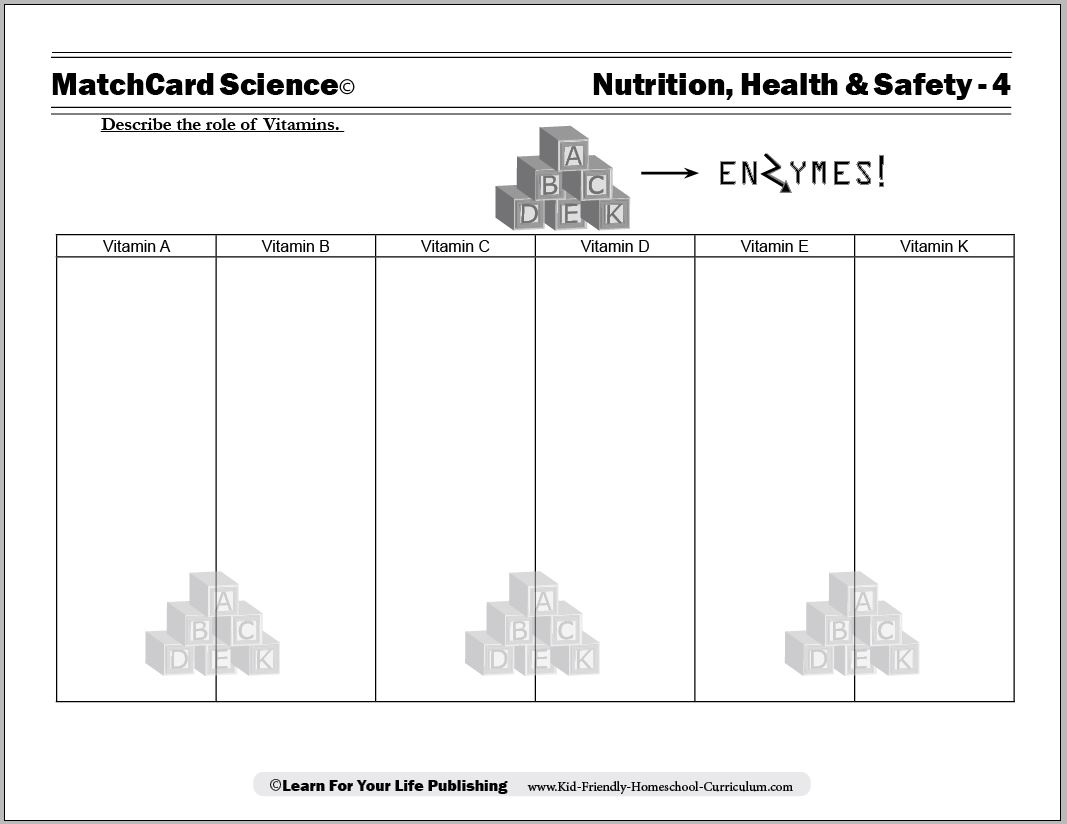 vitamin worksheet