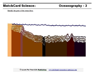 ocean floor model