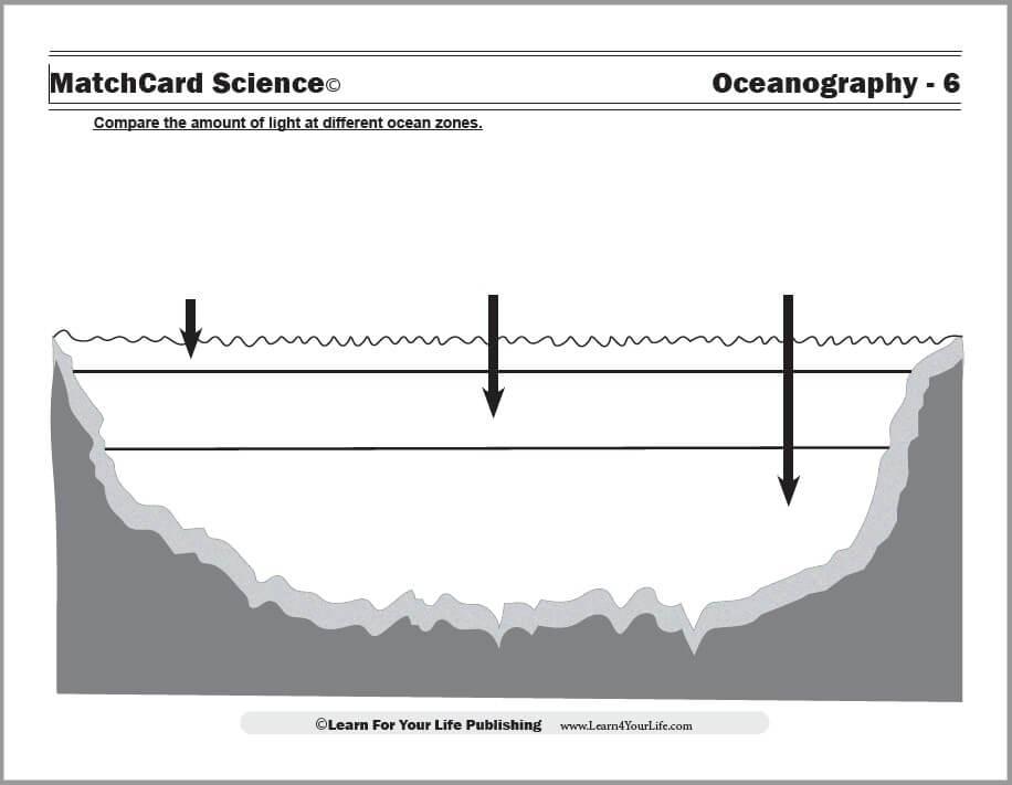 Ocean Zones Worksheet