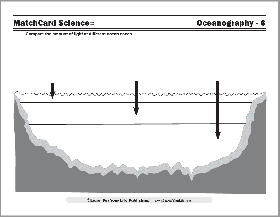 ocean zones