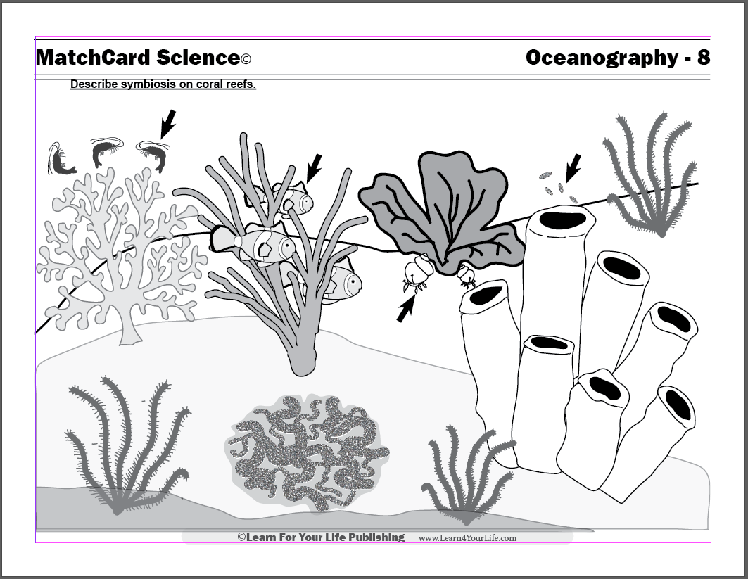 Coral Reefs Worksheet